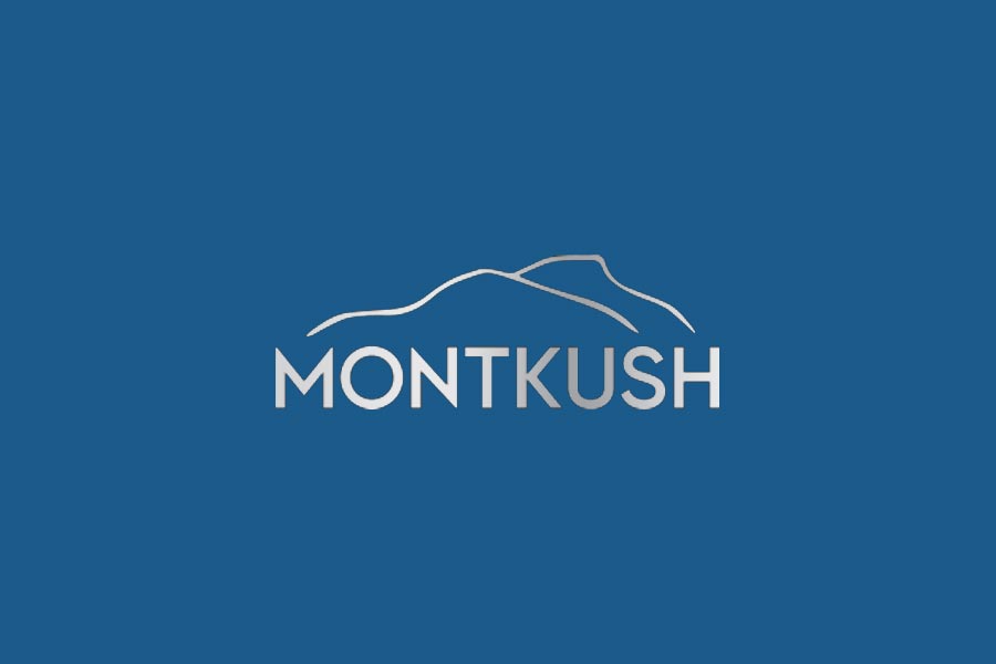 MontKush CBD: Enjoy the Entourage Effect of CBD Tinctures ...