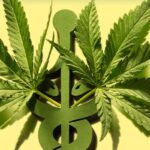Father-of-Cannabis-Research-1