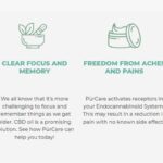 PurCare-08