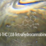 Delta-8-THC-01